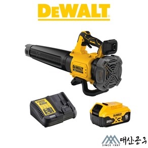 디월트 DCMBL562P1 충전송풍기 20V MAX(18V) 5.0Ah 배터리 1개세트, 1개