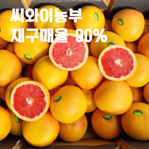 씨와이농부 레드자몽 재구매율90%루비 고당도 골드메로 자몽 중과 대과 특과 15kg, 300g, 20개