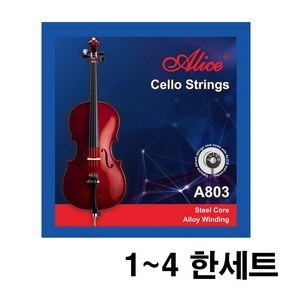 ALICE 첼로 낱선