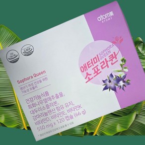 오늘출발 / 애터미 소포라퀸 갱년기여성 건강 6가지 복합기능성 120캡슐 + [사은품 증정], 1개, 120회분