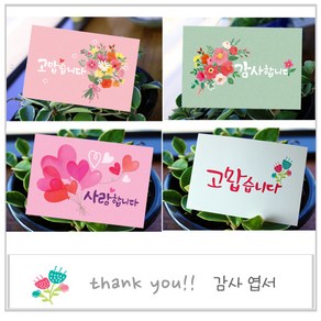 고운카드 감사엽서 캘리그라피 일러스트 엽서 모음, 감사합니다 50장