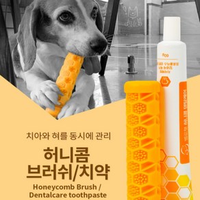 벨로펫 허니콤 댕댕이 구강청결 세트(브러쉬+치약), 브러쉬 소형+치약, 1개, 60g