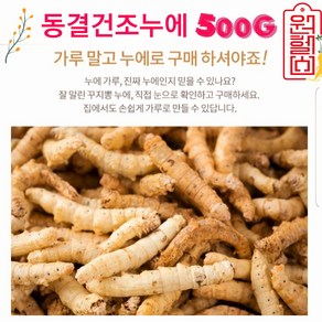 동결건조누에 (국산)100% 동결 건조누에 500g 건조 누에 경북예천양잠농업협동조합, 1개