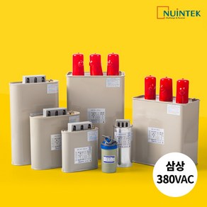 뉴인텍 저압진상콘덴서 커패시터 삼상 380V 캐패시터 모음, 삼상 380VAC, 20kva, 1개