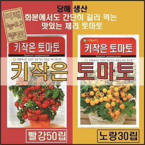 키작은 토마토 씨앗 빨강 50립 / 키작은 토마토 씨앗 노랑 30립 중 택1 -화분 토마토 체리 토마토, 노랑30립, 1개