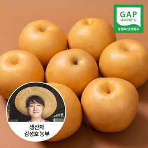 [신선연구소]GAP인증 24년 나주 햇배 가정용 특품 5kg 8-9과