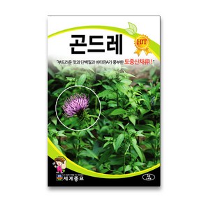 모칸도 세계 곤드레 1g, 1개