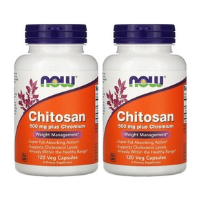 NOW Chitosan 500mg plus Chomium 나우 키토산 크롬 키틴 키토산음식 키토산효능 120캡슐 2통, 120정, 2개