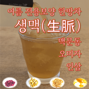 하루한방 생맥산 왕의 여름 보양차 생맥 맥문동인삼오미자차 차갑게 마시는 한방차 10개 한박스, 120g