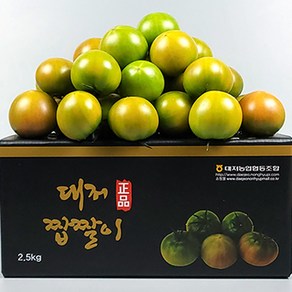 (산지직송) 프리미엄 대저 짭짤이 토마토 2.5kg, 1박스, 대저토마토(L)