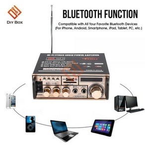 블루투스 앰프 라디오 미니 하이파이 디지털 오디오 전력 증폭기 LCD 디스플레이 FM 라디오 자동차 홈 앰프 12V 220V 2CH, 없음