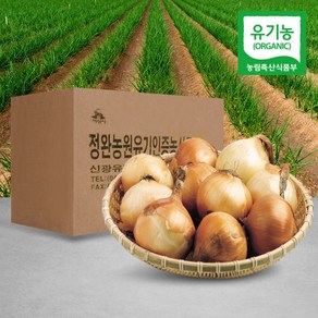 전대표 유기농 햇 양파 / 소사이즈 / 충남 서산 Oganic Onion, 1박스, 5kg