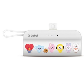 BT21 도킹형 보조배터리 5000 가벼운 일체형 C타입 8핀 소형 BTS 굿즈, 랜덤1개