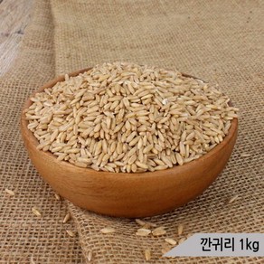 건강알곡 깐귀리 1kg 앵무새 햄스터 영양간식 사료, 1개