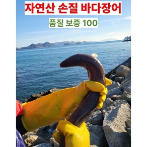 [산지직송]달리팜수산 통영 손질 바다장어 국내산.자연산/ 손질 신선포장 / 오후12:30 주문까지발송, 1세트, 1kg