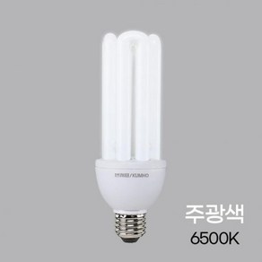 EL 램프 E26 55W 주광, 1개