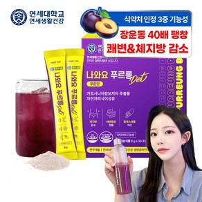 연세생활건강 나와요 푸르릉 다이어트 푸룬주스맛 워터믹스 쾌변 체지방감소 탄수화물컷 차전자피 식이섬유 가루 식욕억제 변비 탈출, 240g, 1개