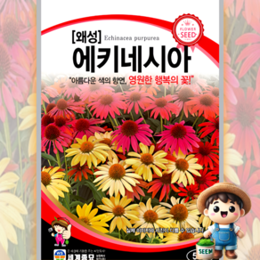 왜성 에키네시아 50립 원예 관상 조경 화단 용 꽃 씨 씨앗 종자 세계종묘, 1개