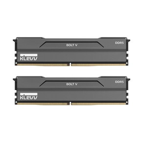 ESSENCORE KLEVV DDR5-6000 CL30 BOLT V 패키지 서린 (32GB(16Gx2)), 2개