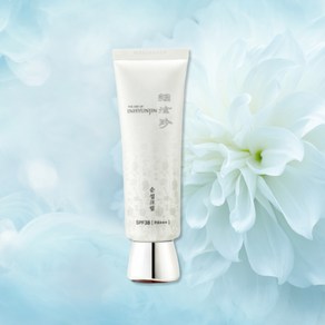 인현진 순설크림 45ml SPF38/PA+++(미백기능 자외선차단 잡티제거 수분탄력영양크림), 1개