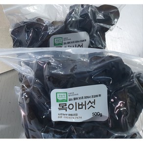 착한농부 쫄깃한 생목이버섯 500g(한국산 무농약), 1개