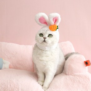 다묘집사 귀여운 고양이 토끼 꽃 당근 모자, 1개