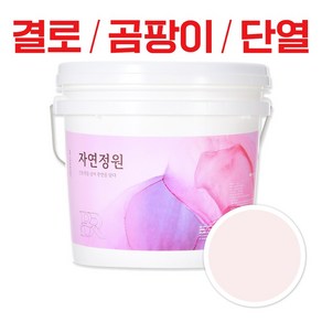 바르는 천연 단열 페인트 자연정원 항균 방수 곰팡이제거 결로방지, BR041 베이비 핑크, 18kg, 1개