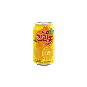 천지개벽 제주 한라봉 스파클링 음료, 24개, 355ml