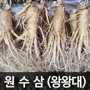 청명네이처 금산인삼 수삼(원수삼) 왕왕대 (750g) (3~4뿌리), 1개, 750g