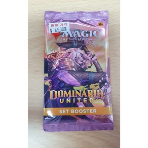 매직 더 개더링 DOMINARIA UNIRED 세트 부스터 팩 (9월 9일 배송시작), 1개