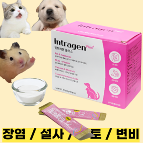 [당일배송] 장염 설사 구토 변비 면역력강화 유산균 영양제 강아지 고양이 햄스터, 1세트, 5포