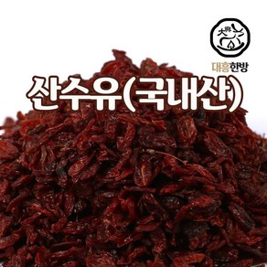 대흥한방 산수유 300g 국내산, 1개