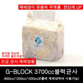 사슴벌레유충먹이 (지블럭)G-block균사 3700cc, 1개