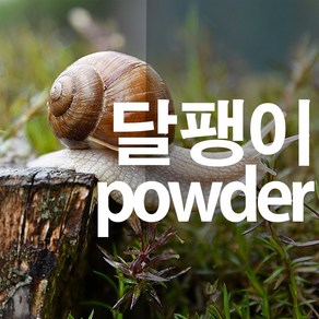 달팽이가루 분말, 100g, 1개, 1개입