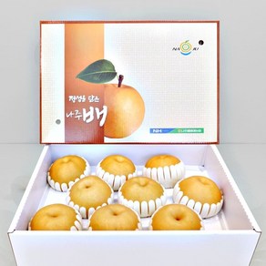 달콤한 나주 신고배 선물세트 5kg 특품 8-10과, 1