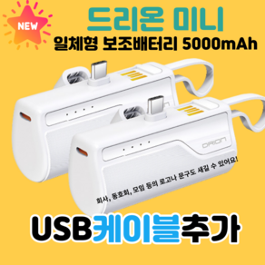 드리온 일체형 미니 보조배터리 5000mAh 8핀 1+1+미니 선풍기, C+C