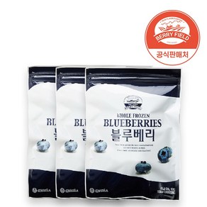 냉동 블루베리 칠레산 1kg x 3개 베리필드, 냉동 칠레산 블루베리 1kg