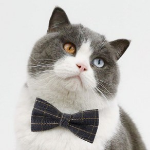 네오바트 격자 체크 강아지 고양이 반려동물 보타이 넥타이, 그레이체크, 1개, 나비넥타이