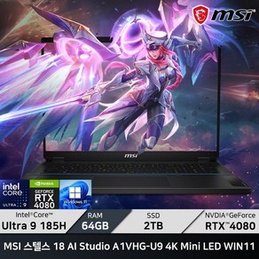 MSI 레이더 18 HX A14VIG-i9 4K Mini LED WIN11/ +마우스증정, 18 HX A14VIG, WIN11 Po, 64GB, 2TB, 블랙