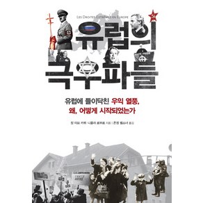 유럽의 극우파들:유럽에 들이닥친 우익 열풍 왜 어떻게 시작되었는가, 한울아카데미, 장 이브 카뮈,니콜라 르부르 공저/은정 펠스너 역