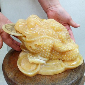 중형 황옥 삼족두꺼비 5만원 옥두꺼비 황옥삼족두꺼비