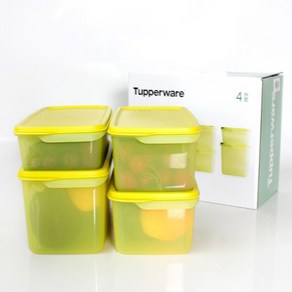 Tupperware 타파웨어 신선한 보관 상자 과일 및 야채 냉장 4P세트 1.3L/2.2L/3.2L