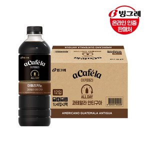 아카페라 올데이 아메리카노 과테말라 안티구아, 1L, 12개