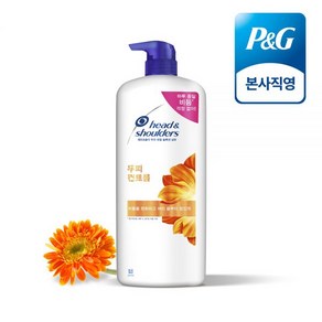 헤드앤숄더 두피 컨트롤 샴푸 1200ml 1개, 1.2L