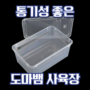 타브먼트 도마뱀사육장 하우스 크레스티드게코 투명, 1개, 적재 가능 고급 케이지