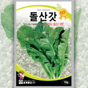 돌산갓 씨앗 (10g) 채소심기 텃밭 채소 갓 씨앗 1개