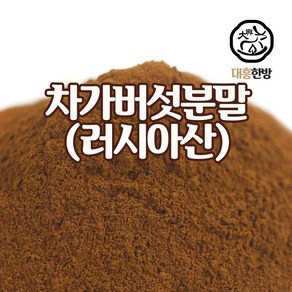 대흥한방 차가버섯분말 100g 러시아산, 1개