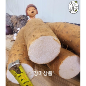 2024 햇마 정도원 국내산 최상급 장마 2kg / 3kg