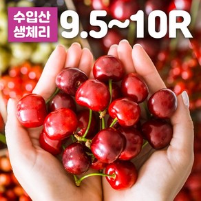 프리미엄 항공직송 칠레산 체리 미국산 생체리 워싱턴 캘리포니아 생과 제철 과일 500g 1kg 2kg 4kg