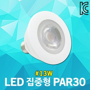 라이톤 LED PAR30 집중형 13W 레일등 카페 조명 파삼공 천장등 실내조명 포인트등 전시회 백화점 LED램프 LED전구 LED벌브 램프 인테리어 전구 벌브 백열전구 대체가능, 주광색, 1개